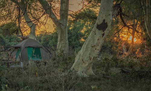 Kuthengo Camp - Liwonde Malawi