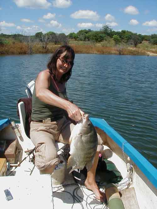 priv safari lake cruise - kariba Zimbabwe